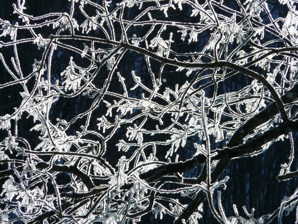 conseils-se-proteger-froid-personnes-agees