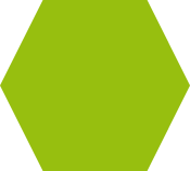 hexa vert.png