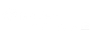 Collectivité